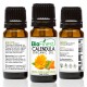 Calendula Organic Oil - 100% Pure Cold-Pressed -  Premium Moisturizer - For Dry Skin, Ezcema, Rashes, Psoriasis, Spider Veins