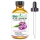 Rose Geranium Essential Oil - 100% Pure Undiluted - Therapeutic Grade - Boost Heart Health, Moods and Energy