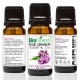 Rose Geranium Essential Oil - 100% Pure Undiluted - Therapeutic Grade - Boost Heart Health, Moods and Energy