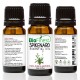 Spikenard Essential Oil - 100% Pure Therapeutic Grade - Best For Aromatherapy & Calming - For Insomnia and Stress Relief