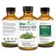 Borage Seed Organic Oil - 100% Pure Cold-Pressed -  Premium Quality - Rich in Omega 3/6  - For PMS and Menstrual Symptoms