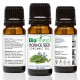 Borage Seed Organic Oil - 100% Pure Cold-Pressed -  Premium Quality - Rich in Omega 3/6  - For PMS and Menstrual Symptoms