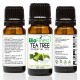 100% Pure Tea Tree Oil