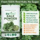 Kale Vegetable Powder - 100% Pure Freeze-Dried Antioxidants Superfood - Boost Digestion Skin Health