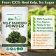 Spinach Powder - 100% Pure Freeze-Dried Antioxidants Superfood - Boost Digestion Detox Immune System