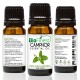 Camphor Essential Oil - 100% Pure Therapeutic Grade - Best For Aromatherapy -  Soothe Muscle Ache, Boost Blood Circulation