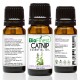 Catnip Essential Oil - 100% Pure Undiluted - Therapeutic Grade - Best For Aromatherapy -  Boost appetite, Detox, Relax Mind