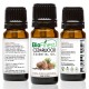 Cedarwood Essential Oil - 100% Pure Therapeutic Grade - Best For Aromatherapy -  Promote Hair Growth & Boost Metabolism