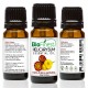 Helicrysum Essential Oil - 100% Pure Therapeutic - Aromatherapy -  Skin Antibiotic (Rashes, Acne, Sunburn, Blemishes)