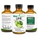 Lime Essential Oil - 100% Pure Therapeutic Grade - Best For Aromatherapy - Protection Against Colds, Flu, Sore Throat.