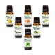 [6 in 1] Christmas Essential Oil  Gift Set ★ Lavender/ Lemongrass/ Peppermint/ Tea Tree/ Rosemary/ Lemon