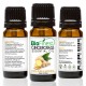Ginger Grass Essential Oil - 100% Pure Undiluted - Therapeutic Grade - Aromatherapy 