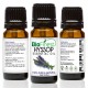Hyssop Essential Oil - 100% Pure Undiluted - Therapeutic Grade - Best For Aromatherapy - Calming, Relaxing, Balancing