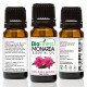 Monarda Essential Oil - 100% Pure Undiluted - Therapeutic Grade - Best For Aromatherapy & Massage, Anxiety & Stress Relief