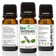 Ravensara Essential Oil - 100% Pure Undiluted - Therapeutic Grade - Aromatherapy - Remedy For Toothache, Headache and Joint Pain