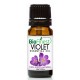Carrot Essential Oil - 100% Pure Therapeutic Grade - Best For Aromatherapy - Balance Hormone, Nourish Skin, Anti-Ageing