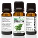 Tarragon Essential Oil - 100% Pure Undiluted - Therapeutic Grade - Aromatherapy - Antiseptic - Boost Immune System - Heal Wound