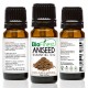 Aniseed Essential Oil - 100% Pure Undiluted - Therapeutic Grade - Aromatherapy - Calm Anxiety, Depression And Stress Relief