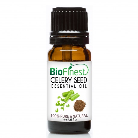Celery Seed Essential Oil - 100% Pure Undiluted - Therapeutic Grade - Best For Aromatherapy & Massage, Lower Blood Pressure