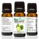 Bergamot Essential Oil - 100% Pure Undiluted - Therapeutic Grade - Best For Aromatherapy - Relieve Cold - Reduce Headache