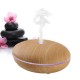 E1 (350ml) Ultrasonic Aroma Diffuser/ Air Humidifier/ Purifier/ 7-Color LED Light, , 10 Hours Mist, Auto Off, Super Quiet