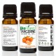 Turmeric Essential Oil - Pure Therapeutic Grade - Best For Aromatherapy