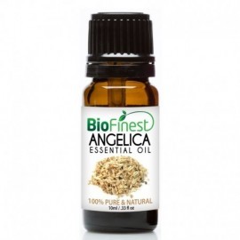 Angelica Essential Oil - 100% Pure Undiluted - Therapeutic Grade - Best For Aromatherapy -  Boost Immune System and Strength