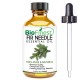 Fir Needle Essential Oil - 100% Pure Therapeutic Grade - Best For Aromatherapy -  Calm Mind, Reduce Fatigue, Ache, Arthritis
