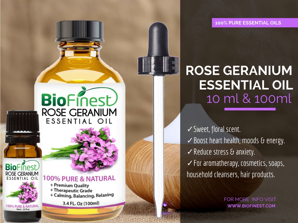 Rose Geranium 2